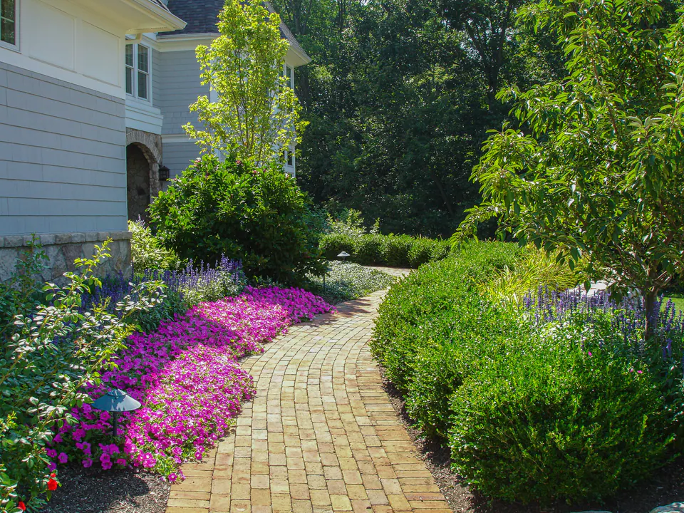 Brick garden walk with magenta seasonal color, clipped shrubs, small trees, and shaded estate planting